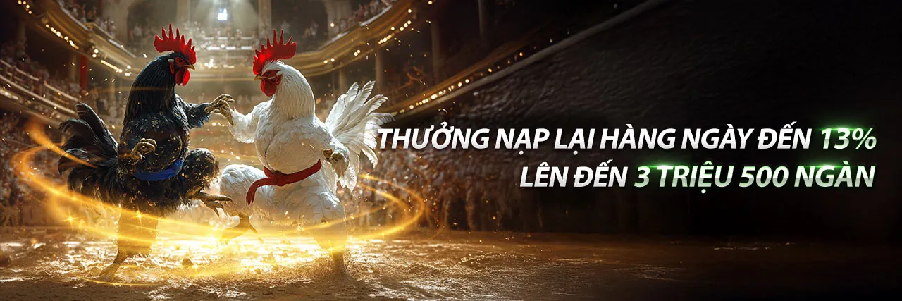 Sân chơi đá gà trực tuyến 123win code